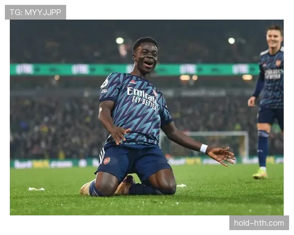 萨卡数据真实性与体系作用解析